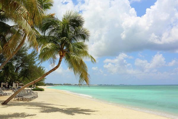 Tranquil Tropical Beach Scene Wall Art