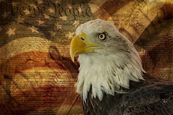Bald Eagle with Constitution Art Print