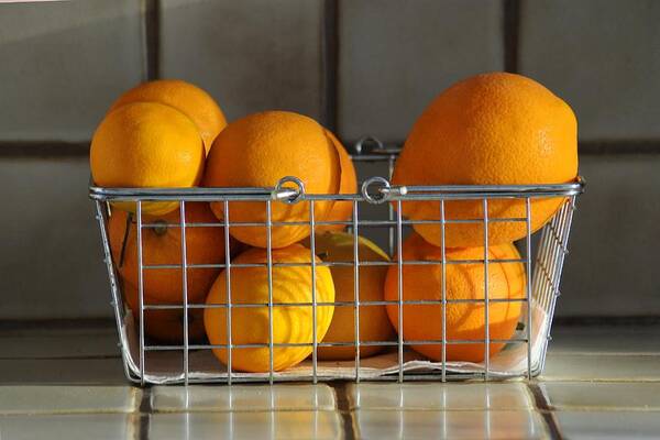 Still Life Wall Art featuring the photograph Orangey by Dan Holm