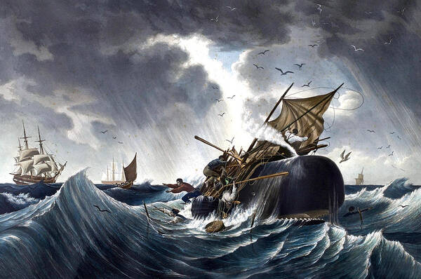 W．RUSSELL FINT（W.ラッセル　フリント）、海辺の漁師の娘 Whaling Paintings for Sale by Bridgeman Images
