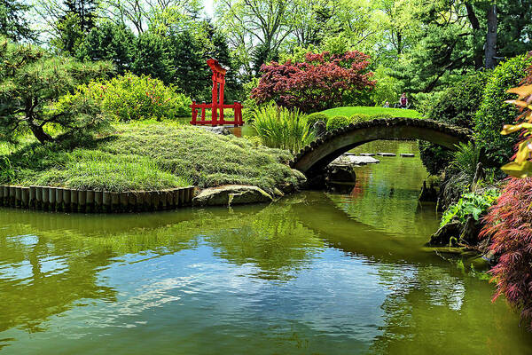 Pond, Brooklyn Botanic Garden, Nyc #1 Art Print