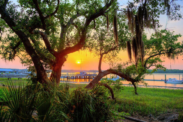 Usa, South Carolina, Hilton Head #1 Art Print