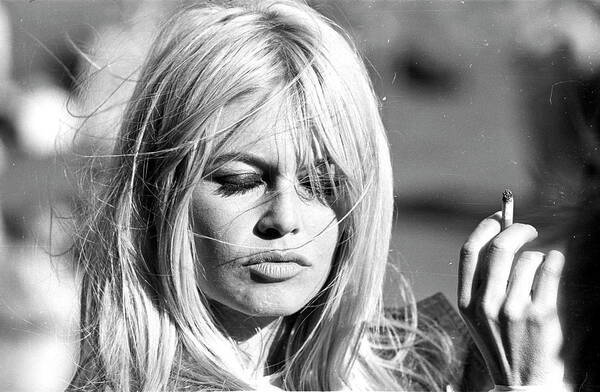 Brigitte Bardot Photos for Sale - Photos.com