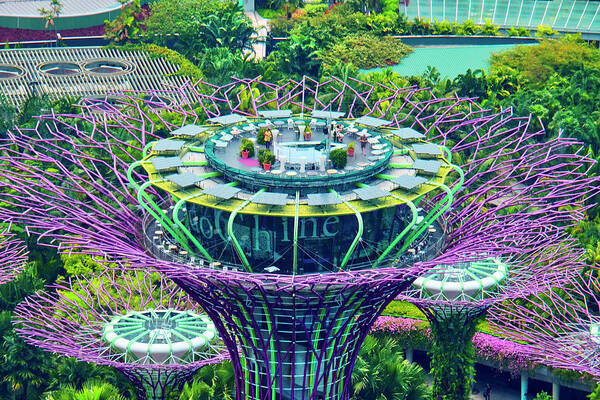 Singapore, Singapore City, Singapore Botanic Gardens, Areal Marina Bay, Garden By The Sands Art Print