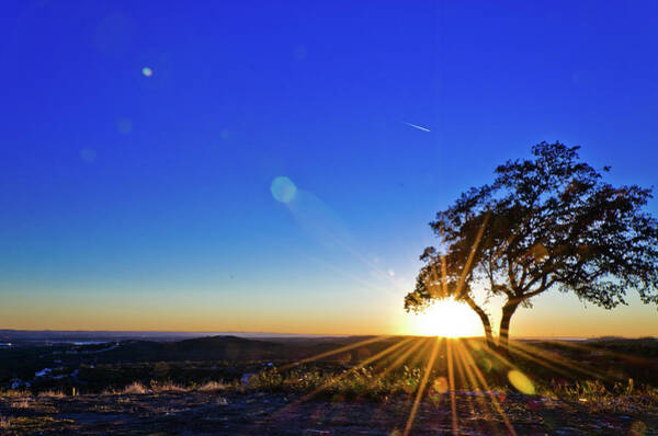 Sunset Over Lone Tree Wall Art