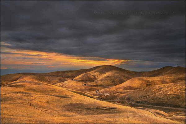 California Wall Art featuring the photograph The Slithy Toves Did Gyre And Gimble In by J. Martin Paige Iii