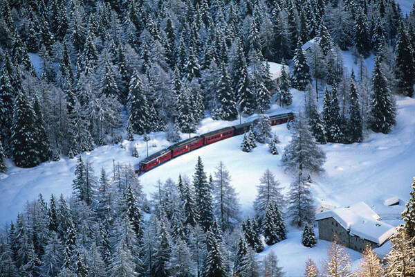 Train Passing Through Forest Art Print