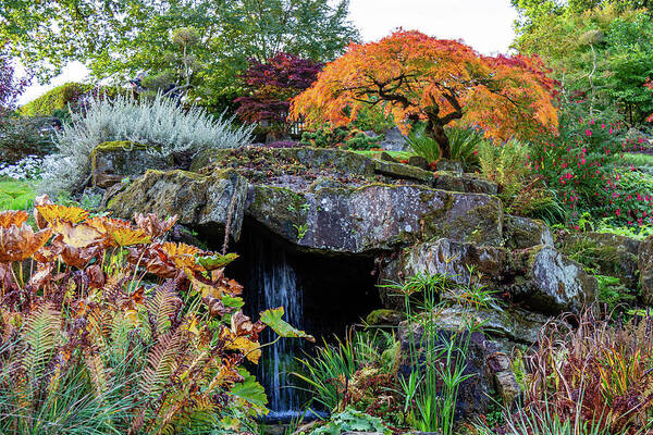 Autumn Botanical Garden with Waterfall Art Print