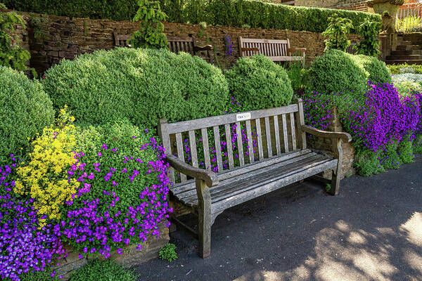 Wooden Bench in Blooming Garden Art Print