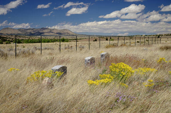 Let God Plant The Flowers On My Grave Art Print