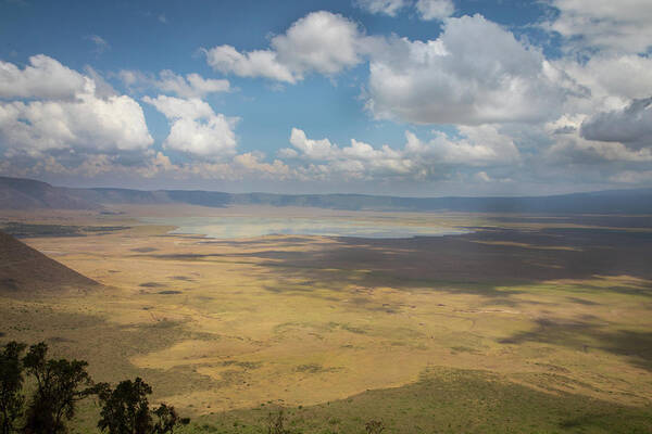 Ngorongoro Project, No. 5018 Art Print