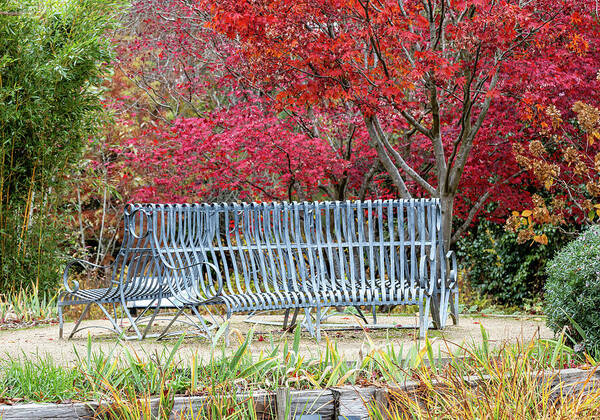 Autumn Bench in Vibrant Park Art Print
