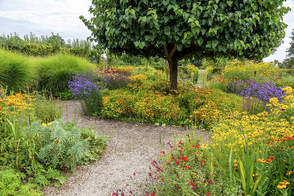 Vibrant Garden Pathway Art Print