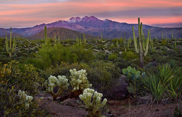Desert Sunset Over Majestic Mountains Photograph