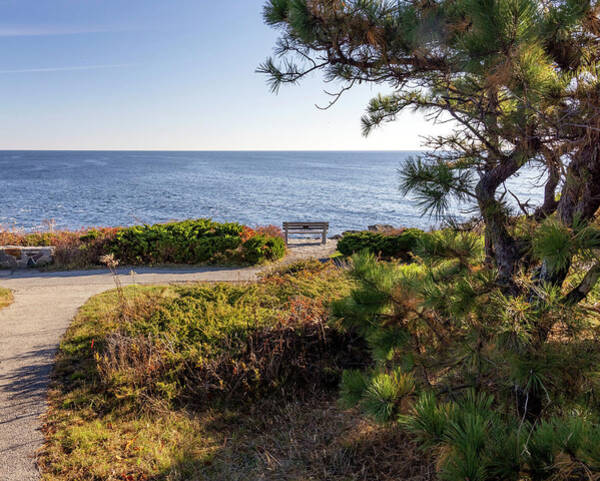 Usa, Maine, Ogunquit, Marginal Way Trail Art Print