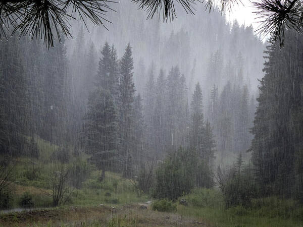 Rain Lovely Rain Art Print