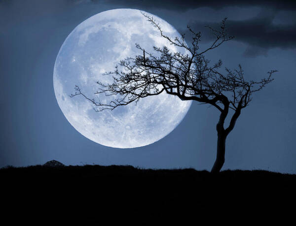 Full Moon Photos for Sale - Photos.com
