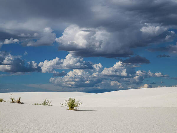 The White Sands Of New Mexico Art Print