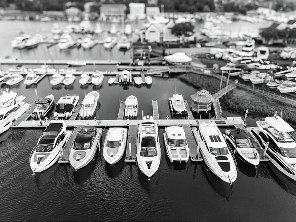 Marina with Docked Boats Art Print