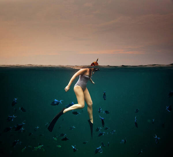 Snorkeler Among Tropical Fish Art Print