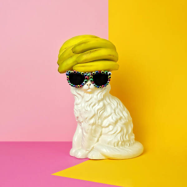 Fashionable Cat with Banana Hat Wall Art