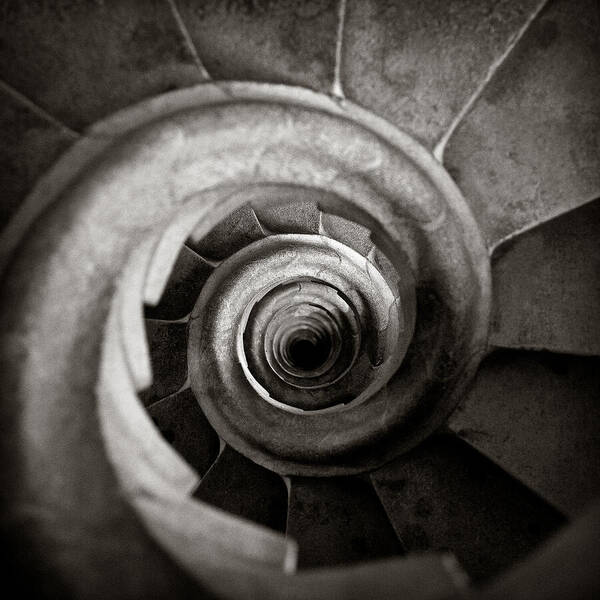 Mesmerizing Spiral Staircase Wall Art