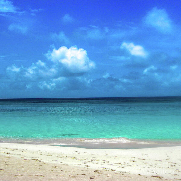 Topical Beach View Anguilla Art Print