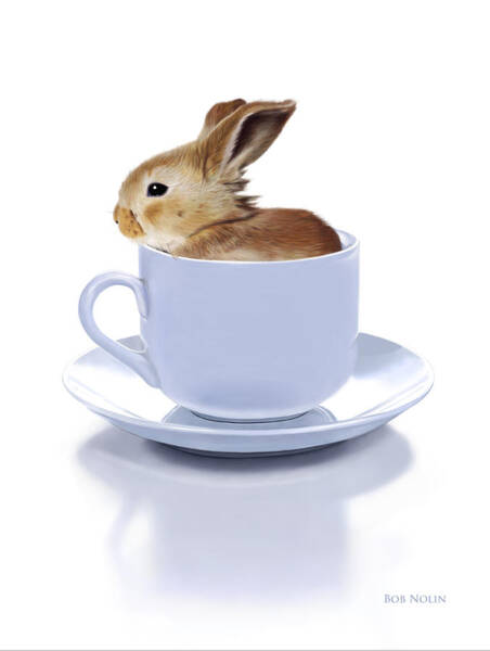 Bunny in a Teacup Wall Art