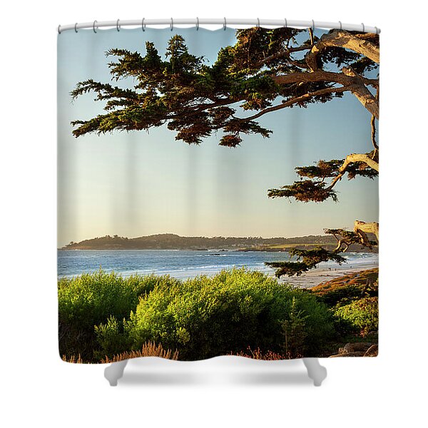 Coastal Tree Overlooking the Ocean Shower Curtain