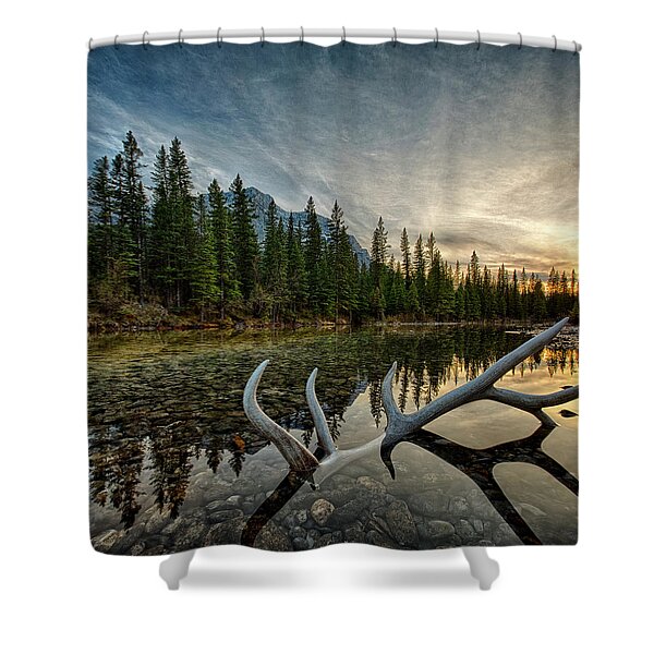 Serene Reflection of Pine Trees Shower Curtain
