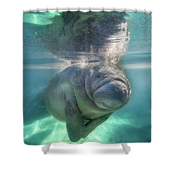 Underwater Manatee in Crystal Waters Shower Curtain