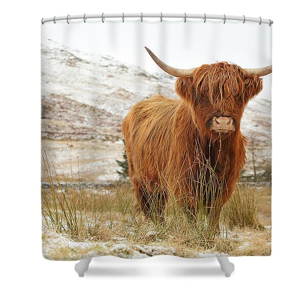 Majestic Highland Cow in Snow Shower Curtain