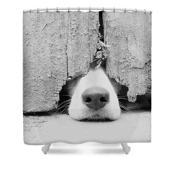 Nose Peeking Through Wooden Fence Shower Curtain