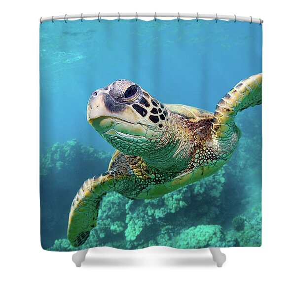 Majestic Sea Turtle Underwater Shower Curtain