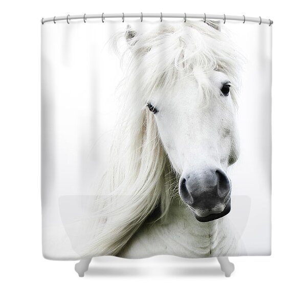 Graceful White Horse Portrait Shower Curtain
