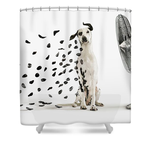 Dalmatian and Fan Shower Curtain