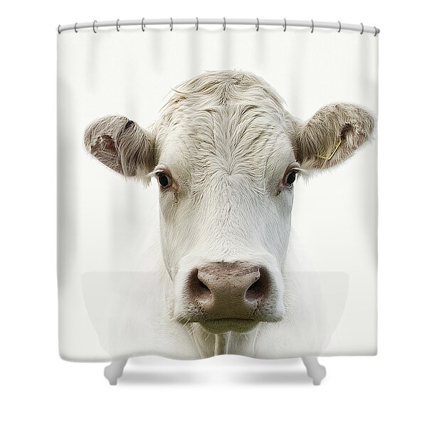 White Cow Shower Curtain