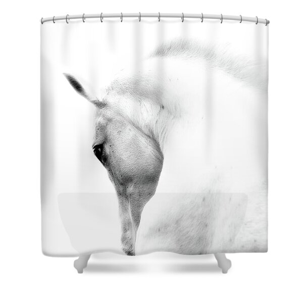 Graceful White Horse in Profile Shower Curtain