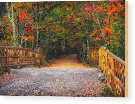 Autumn Road Wood Print