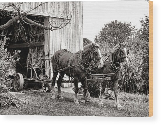 Horses Pulling Farm Cart Wood Print