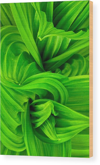 Wavy Green #2 Wood Print