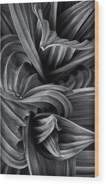 Wavy Not So Green Wood Print