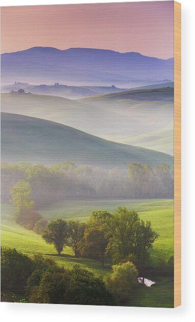 Tuscany, Awesome Landscape At Dawn #2 Wood Print
