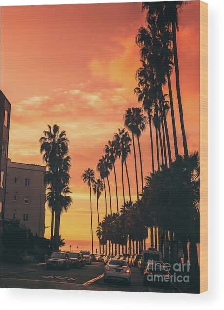 Sizzling Hot San Diego Summer Nights Wood Print
