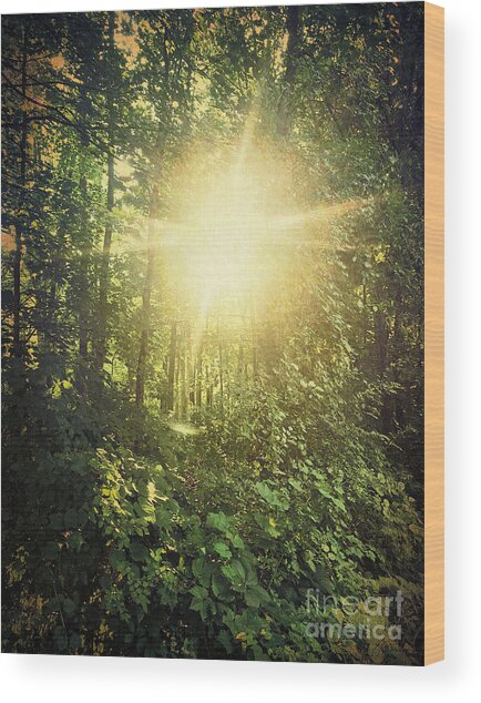 In The Golden Hour Wood Print