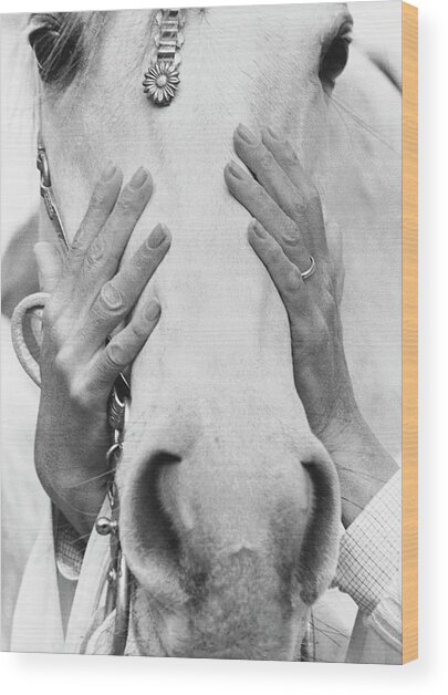 Hands Covering Horse's Face Wood Print