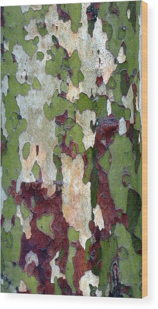 Camouflage Wood Print