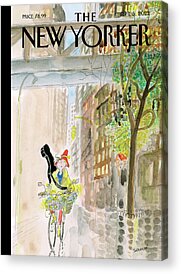 Shop for Rain Acrylic Prints