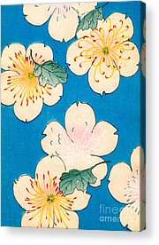 Shop for Pattern Acrylic Prints