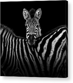 Shop for  Acrylic Prints
